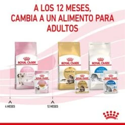 Royal Canin Kitten Instinctive En Gelatina -Productos Para Gatos rc spt wet kitten cij cv 8 es es 1 7
