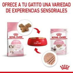 Royal Canin Kitten Paté 18 Royal Canin Kitten Paté -Productos Para Gatos rc spt wet kitten loaf cv 4 es es 8
