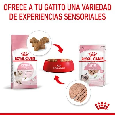 Royal Canin Kitten Paté 7 Royal Canin Kitten Paté - Imagen 7