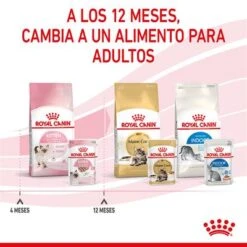 Royal Canin Kitten Paté 21 Royal Canin Kitten Paté -Productos Para Gatos rc spt wet kitten loaf cv 8 es es 4