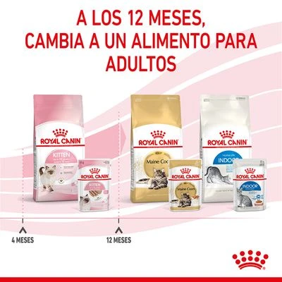 Royal Canin Kitten Paté 10 Royal Canin Kitten Paté - Imagen 10