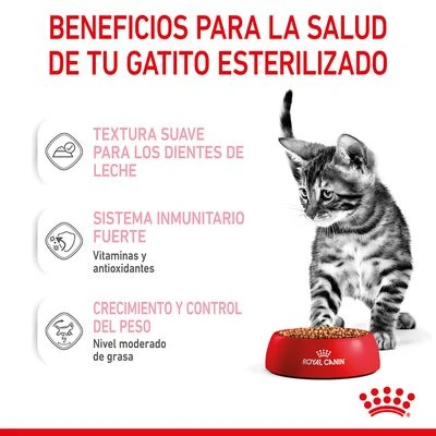 Royal Canin Sterilised Kitten En Salsa 6 Royal Canin Sterilised Kitten En Salsa - Imagen 6