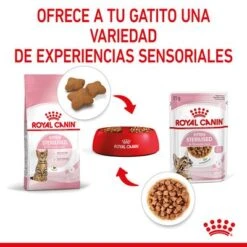 Royal Canin Sterilised Kitten En Salsa 17 Royal Canin Sterilised Kitten En Salsa -Productos Para Gatos rc spt wet kittenster cig cv 4 es es 7