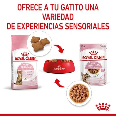 Royal Canin Sterilised Kitten En Salsa 7 Royal Canin Sterilised Kitten En Salsa - Imagen 7