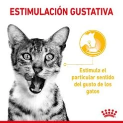 Royal Canin Sensory En Salsa - Pack Mixto -Productos Para Gatos rc spt wet sensmultipack cv 2 es es 9