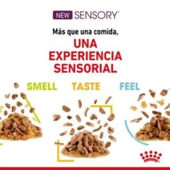 Royal Canin Sensory En Salsa - Pack Mixto -Productos Para Gatos rc spt wet sensmultipack cv 4 es es 4