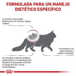 Royal Canin Veterinary Feline Early Renal -Productos Para Gatos rc vet dry catearlyrenal cv eretailkit 2 es es 1