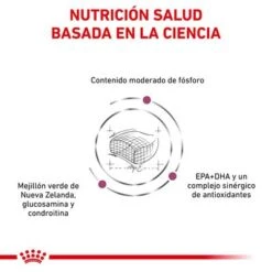 Royal Canin Veterinary Feline Early Renal -Productos Para Gatos rc vet dry catearlyrenal cv eretailkit 3 es es 6