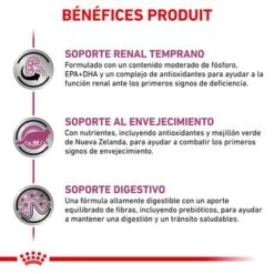 Royal Canin Veterinary Feline Early Renal -Productos Para Gatos rc vet dry catearlyrenal cv eretailkit 4 es es 2