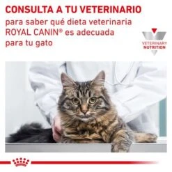 Royal Canin Veterinary Feline Early Renal -Productos Para Gatos rc vet dry catearlyrenal cv eretailkit 9 es es 7