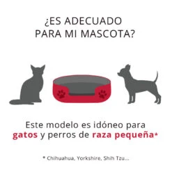 Productos Para Gatos -Productos Para Gatos t01 camas talla pequena adecuado 7
