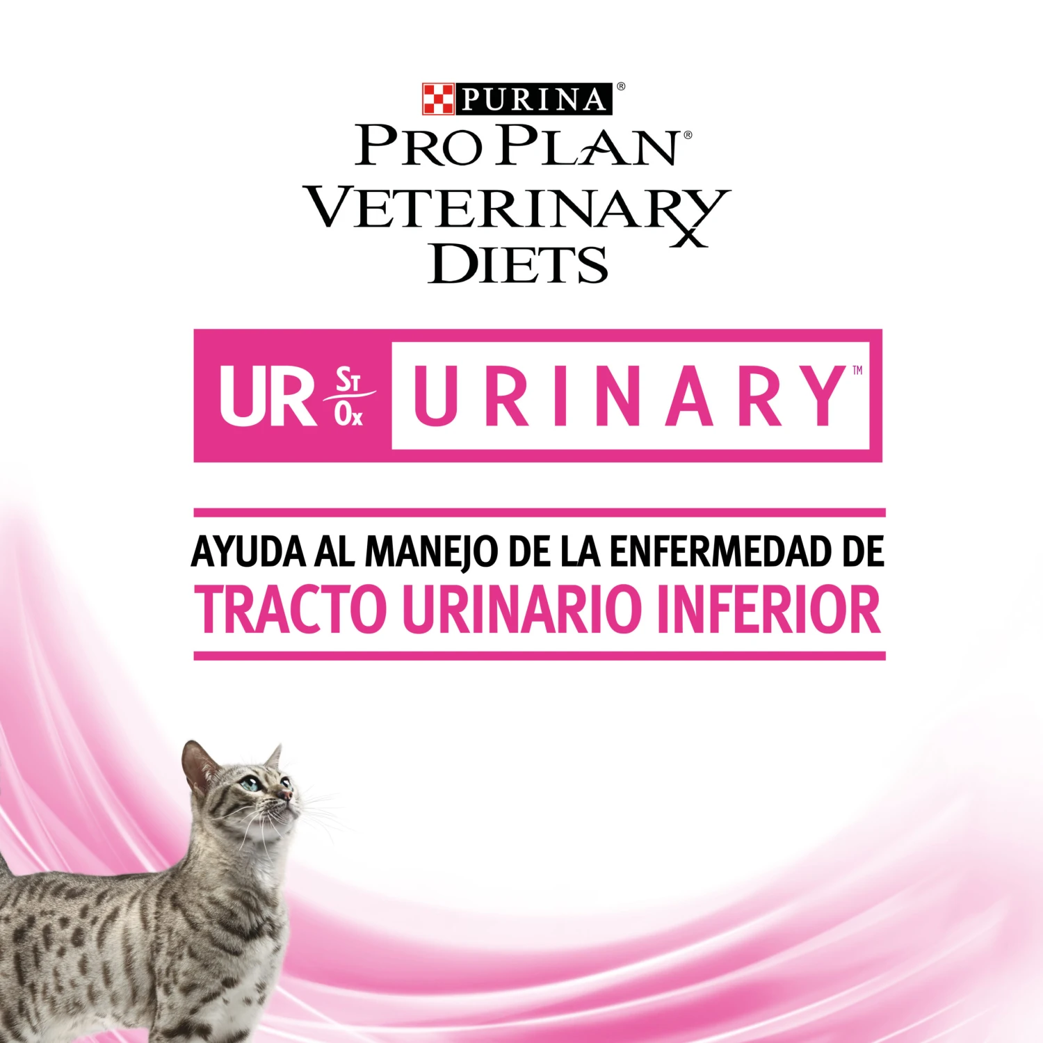 UR Urinary ST/OX 12 UR Urinary ST/OX - Imagen 12