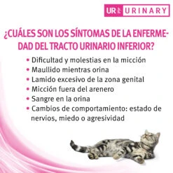 UR Urinary ST/OX 29 UR Urinary ST/OX -Productos Para Gatos ur urinary st ox 5