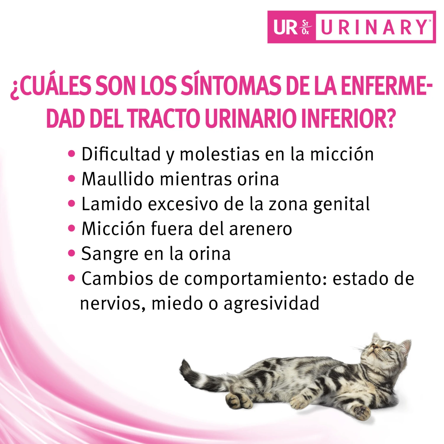 UR Urinary ST/OX 14 UR Urinary ST/OX - Imagen 14