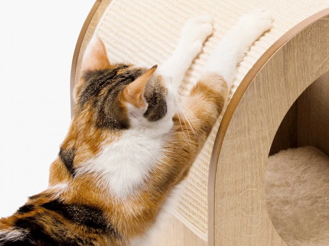 Catit Minou 5 Catit Minou - Imagen 5