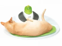 Catit Centro De Masajes Sense 2.0 Wellness -Productos Para Gatos wellness broad cushion 1255x941 jpg 635a36a40fe8b