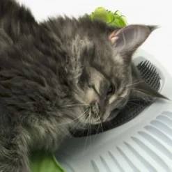 Catit Centro De Masajes Sense 2.0 Wellness -Productos Para Gatos wellness multi purpose massager 768x768 jpg 635a36a55c61d