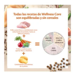 Wellness Core Adult Pollo Y Pavo Pienso Para Gatos -Productos Para Gatos wellness core pienso gatos WEL10724 Pollo