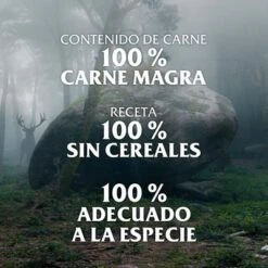 Wild Freedom Instinctive 6 X 140 G En Latas 23 Wild Freedom Instinctive 6 X 140 G En Latas -Productos Para Gatos wildfreedom board es 1000x1000 2